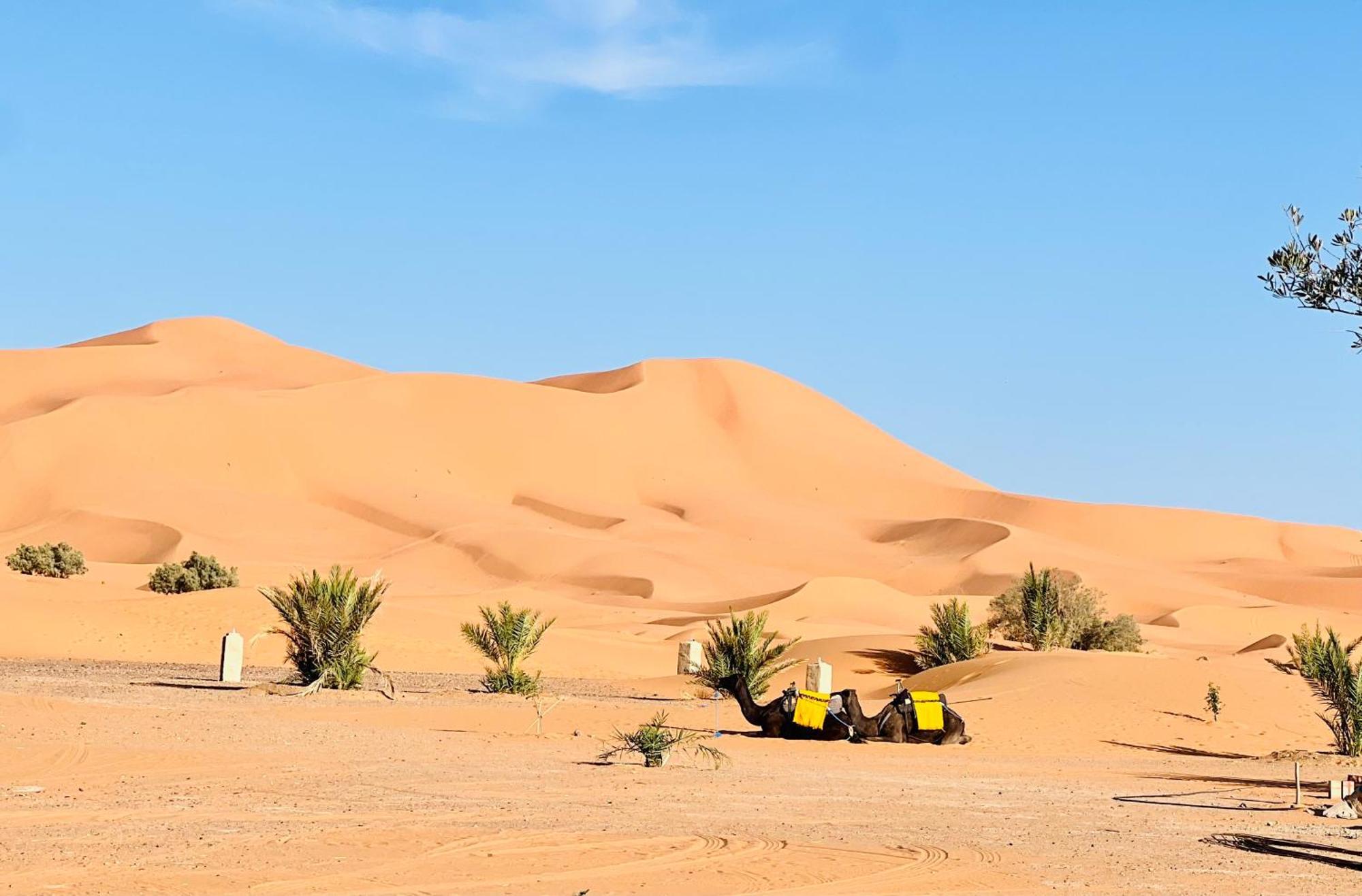 Hotel Camping Les Roses Des Dunes & Piscine Merzouga Exterior photo