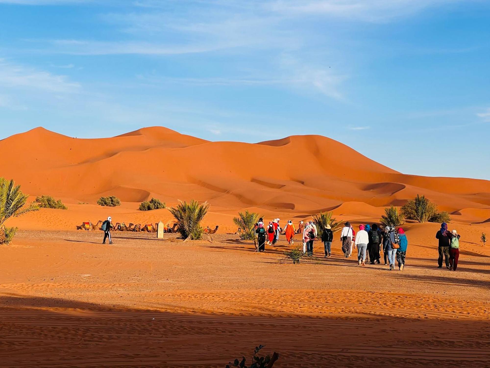 Hotel Camping Les Roses Des Dunes & Piscine Merzouga Exterior photo